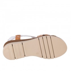 Cuñas Mujer Zapp 3744 Colores