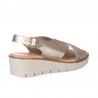 Cuñas Mujer Zapp 2451 Oro